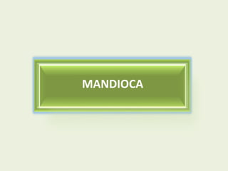 MANDIOCA

 