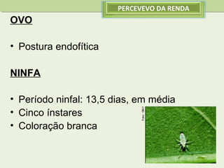 PERCEVEVO DA RENDA

OVO
• Postura endofítica
NINFA
• Período ninfal: 13,5 dias, em média
• Cinco ínstares
• Coloração branca

 