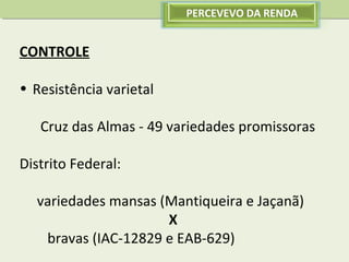 PERCEVEVO DA RENDA

CONTROLE
• Resistência varietal
Cruz das Almas - 49 variedades promissoras
Distrito Federal:
variedades mansas (Mantiqueira e Jaçanã)
X
bravas (IAC-12829 e EAB-629)

 
