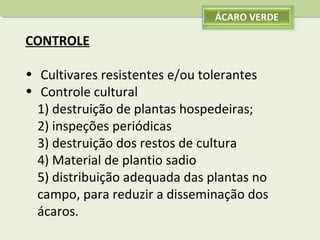 ÁCARO VERDE

CONTROLE
• Cultivares resistentes e/ou tolerantes
• Controle cultural
1) destruição de plantas hospedeiras;
2) inspeções periódicas
3) destruição dos restos de cultura
4) Material de plantio sadio
5) distribuição adequada das plantas no
campo, para reduzir a disseminação dos
ácaros.

 
