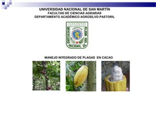 UNIVERSIDAD NACIONAL DE SAN MARTÍN
FACULTAD DE CIENCIAS AGRARIAS
DEPARTAMENTO ACADÉMICO AGROSILVO PASTORIL
MANEJO INTEGRADO DE PLAGAS EN CACAO
 