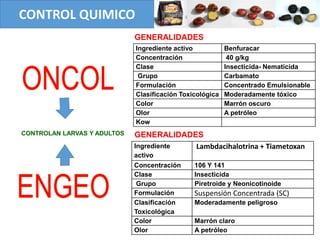 CONTROL QUIMICO
CONTROLAN LARVAS Y ADULTOS
GENERALIDADES
GENERALIDADES
Ingrediente activo Benfuracar
Concentración 40 g/kg
Clase Insecticida- Nematicida
Grupo Carbamato
Formulación Concentrado Emulsionable
Clasificación Toxicológica Moderadamente tóxico
Color Marrón oscuro
Olor A petróleo
Kow
Ingrediente
activo
Lambdacihalotrina + Tiametoxan
Concentración 106 Y 141
Clase Insecticida
Grupo Piretroide y Neonicotinoide
Formulación Suspensión Concentrada (SC)
Clasificación
Toxicológica
Moderadamente peligroso
Color Marrón claro
Olor A petróleo
 