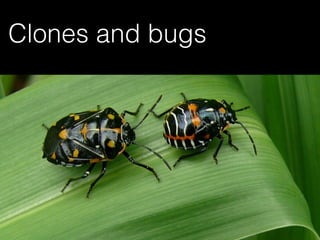 Tracking Entities
Late Propagation
Clone changes
Clones and bugs
 