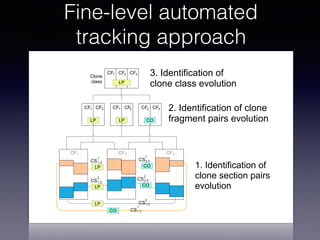 CF CF CF CFCF CF3 2. Identification of clone
fragment pairs evolution
3. Identification of
clone class evolution
Clone
class
CS
2
1. Identification of
clone section pairs
evolution
LP LP CO
LP
LP
LP
LP
CO
CO
CO
CF1 CF2 CF3
CS
1
CS
1
CS
2
CS
2
CS
1
121 2 3
CF CF21 CF3
1,2
1,2
2,3
2,3
1,3
1,3
Fine-level automated
tracking approach
 