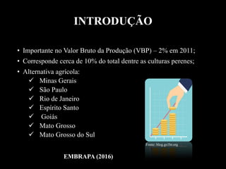 • Importante no Valor Bruto da Produção (VBP) – 2% em 2011;
• Corresponde cerca de 10% do total dentre as culturas perenes;
• Alternativa agrícola:
 Minas Gerais
 São Paulo
 Rio de Janeiro
 Espírito Santo
 Goiás
 Mato Grosso
 Mato Grosso do Sul
Fonte: blog.gs1br.org
EMBRAPA (2016)
INTRODUÇÃO
 
