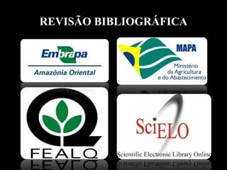 REVISÃO BIBLIOGRÁFICA
2000 a 2700
mm
 