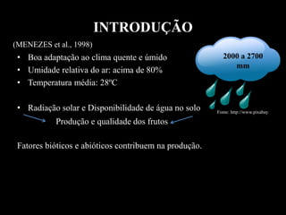 INTRODUÇÃO
• Boa adaptação ao clima quente e úmido
• Umidade relativa do ar: acima de 80%
• Temperatura média: 28ºC
• Radiação solar e Disponibilidade de água no solo
Fatores bióticos e abióticos contribuem na produção.
Fonte: http://www.pixabay
(MENEZES et al., 1998)
2000 a 2700
mm
Produção e qualidade dos frutos
 