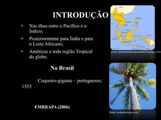 • Nas ilhas entre o Pacífico e o
Índico;
• Posteriormente para Índia e para
o Leste Africano;
• Américas e toda região Tropical
do globo.
Coqueiro-gigante – portugueses;
1553
No Brasil
Fonte: poderdasfrutas.com
Fonte: professormarcianodantas.blogspot.com.
EMBRAPA (2006)
INTRODUÇÃO
 
