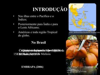 • Nas ilhas entre o Pacífico e o
Índico;
• Posteriormente para Índia e para
o Leste Africano;
• Américas e toda região Tropical
do globo.
Coqueiro-gigante – portugueses;
1553
Fonte:
poderdasfrutas.co
m
Coqueiro anão-verde - Java; 1924
e 1939 do Norte da Malásia
Fonte: mfrural.com.br
Coqueiro anão-amarelo - Norte da
Malásia; 1938
Fonte:
google.com.br/mercado
No Brasil
Coqueiro anão-vermelho - Norte
da Malásia; 1939
Fonte:
poderdasfrutas.co
m
Fonte: professormarcianodantas.blogspot.com.
EMBRAPA (2006)
INTRODUÇÃO
 