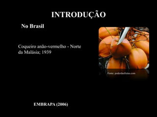 No Brasil
Coqueiro anão-vermelho - Norte
da Malásia; 1939
Fonte: poderdasfrutas.com
EMBRAPA (2006)
INTRODUÇÃO
 