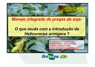 Manejo integrado de pragas da soja: 
O que muda com a introdução da 
Helicoverpa armigera ? 
Dr. Adeney de Freitas Bueno 
Entomologista – Embrapa Soja 
Telefone: (43) 3371-6208 
Email: adeney.bueno@embrapa.br 
Foto: A. F. Bueno 
 