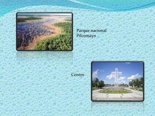 Parque nacional Pilcomayo Centro 