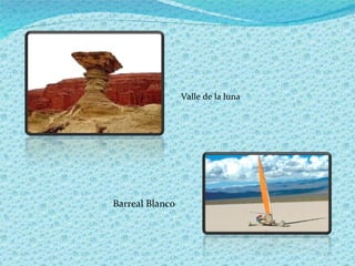 Valle de la luna Barreal Blanco 