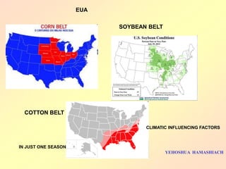 COTTON BELT 
SOYBEAN BELT 
CLIMATIC INFLUENCING FACTORS 
EUA 
IN JUST ONE SEASON 
YEHOSHUA HAMASHIACH  