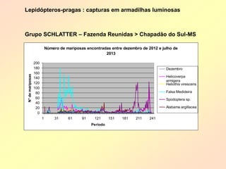Número de mariposas encontradas entre dezembro de 2012 e julho de 
2013 
0 
20 
40 
60 
80 
100 
120 
140 
160 
180 
200 
1 31 61 91 121 151 181 211 241 
Período 
N° de mariposas 
Dezembro 
Helicoverpa 
armigera 
Heliothis virescens 
Falsa Medideira 
Spodoptera sp. 
Alabama argillacea 
Anticarsia 
gemmatalis 
Agrotis ipsilon 
Lepidópteros-pragas : capturas em armadilhas luminosas 
Grupo SCHLATTER – Fazenda Reunidas > Chapadão do Sul-MS 
 