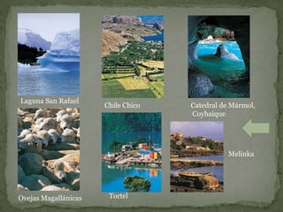 Laguna San Rafael
                      Chile Chico   Catedral de Mármol,
                                    Coyhaique




                                               Melinka




Ovejas Magallánicas    Tortel
 