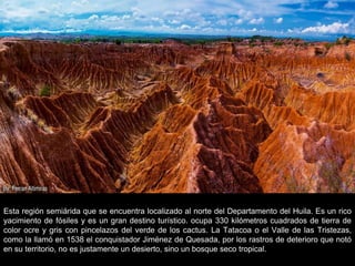 Esta región semiárida que se encuentra localizado al norte del Departamento del Huila. Es un rico
yacimiento de fósiles y es un gran destino turístico. ocupa 330 kilómetros cuadrados de tierra de
color ocre y gris con pincelazos del verde de los cactus. La Tatacoa o el Valle de las Tristezas,
como la llamó en 1538 el conquistador Jiménez de Quesada, por los rastros de deterioro que notó
en su territorio, no es justamente un desierto, sino un bosque seco tropical.
 