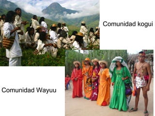 Comunidad Wayuu
Comunidad kogui
 