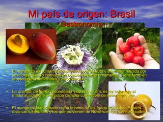 Mi país de origen: BrasilMi país de origen: Brasil
GastronomíaGastronomía
• El maracuyá es sumamente apreciado por su fruto y en menor medida porEl maracuyá es sumamente apreciado por su fruto y en menor medida por
sus flores, siendo cultivada en ocasiones como ornamental. Tiene tambiénsus flores, siendo cultivada en ocasiones como ornamental. Tiene también
propiedades medicinales y afrodisíacas.propiedades medicinales y afrodisíacas.
• LaLa acerolaacerola, de forma redondeada y de unos 2 cm. es de color rojo al, de forma redondeada y de unos 2 cm. es de color rojo al
madurar, contiene una pulpa carnosa comestible de sabor agridulce.madurar, contiene una pulpa carnosa comestible de sabor agridulce.
• El mango es considerado como la reina de las frutas tropicales. ExistenEl mango es considerado como la reina de las frutas tropicales. Existen
distintas variedades y los que provienen de Brasil son los más apreciados.distintas variedades y los que provienen de Brasil son los más apreciados.
 