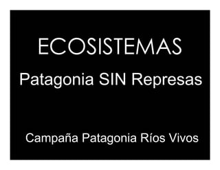 ECOSISTEMAS
Patagonia SIN Represas


Campaña Patagonia Ríos Vivos
 