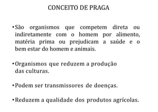 •São organismos que competem direta ou
indiretamente com o homem por alimento,
matéria prima ou prejudicam a saúde e o
bem estar do homem e animais.
•Organismos que reduzem a produção
das culturas.
•Podem ser transmissores de doenças.
•Reduzem a qualidade dos produtos agrícolas.
CONCEITO DE PRAGA
 