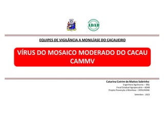 Catarina Cotrim de Mattos Sobrinho
Engenheira Agrônoma – MSc
Fiscal Estadual Agropecuário – ADAB
Projeto Prevenção à Monilíase – DDSV/ADAB
Setembro - 2023
EQUIPES DE VIGILÂNCIA A MONILÍASE DO CACAUEIRO
VÍRUS DO MOSAICO MODERADO DO CACAU
CAMMV
 