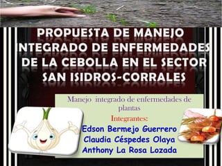 Manejo integrado de enfermedades de
              plantas
            Integrantes:
   Edson Bermejo Guerrero
   Claudia Céspedes Olaya
   Anthony La Rosa Lozada
 