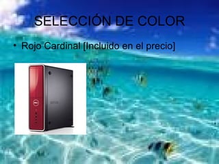 SELECCIÓN DE COLOR Rojo Cardinal [Incluido en el precio]  