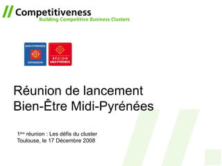 Réunion de lancement Bien-Être Midi-Pyrénées 1 ère  réunion : Les défis du cluster Toulouse, le 17 Décembre 2008 