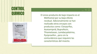 El único producto de bajo impacto es el
Methomyl por su bajo efecto
residual. Adicionalmente se han
realizado otros ensayos con
productos como: Clorpyrifos,
Acetamiprid, Buprofezin,
Thiametoxan, Lamdacyalotrina,
Pyriproxifen , pero sin la
contundencia que requiere las
características del insecto.
CONTROL
QUIMICO
 