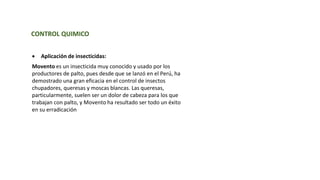 CONTROL QUIMICO
 Aplicación de insecticidas:
Movento es un insecticida muy conocido y usado por los
productores de palto, pues desde que se lanzó en el Perú, ha
demostrado una gran eficacia en el control de insectos
chupadores, queresas y moscas blancas. Las queresas,
particularmente, suelen ser un dolor de cabeza para los que
trabajan con palto, y Movento ha resultado ser todo un éxito
en su erradicación
 