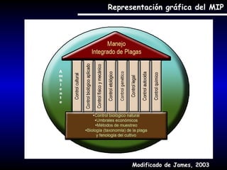 Representación gráfica del MIP

Modificado de James, 2003

 