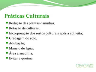 Redução das plantas daninhas;
Rotação de culturas;
Incorporação dos restos culturais após a colheita;
Gradagem do solo;
Adubação;
Manejo de água;
Área armadilha;
Evitar a queima.
Práticas Culturais
 
