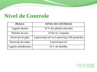 Nível de Controle
 