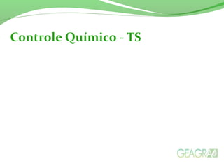 Controle Químico - TS
 