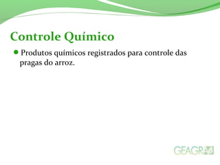 Produtos químicos registrados para controle das
pragas do arroz.
Controle Químico
 