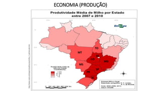ECONOMIA (PRODUÇÃO)
MT
MS
GO
DF
TO
MG
SP
PR
SC
http://www.cnpms.embrapa.br/publicacoes/milho_7_ed/mercado.htm
 