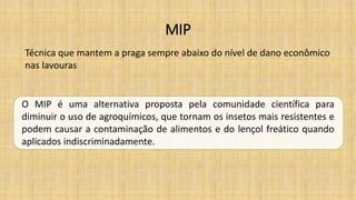 MIP
Técnica que mantem a praga sempre abaixo do nível de dano econômico
nas lavouras
O MIP é uma alternativa proposta pela comunidade científica para
diminuir o uso de agroquímicos, que tornam os insetos mais resistentes e
podem causar a contaminação de alimentos e do lençol freático quando
aplicados indiscriminadamente.
 