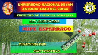 UNIVERSIDAD NACIONAL DE SAN
ANTONIO ABAD DEL CUSCO
RUDY PUMA VILCA - UNSAAC 1.
1
 