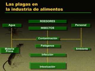 Manejo integrado de plagas en la industria alimentaria. | PPT