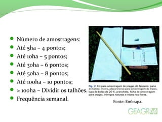  Número de amostragens:
 Até 5ha – 4 pontos;
 Até 10ha – 5 pontos;
 Até 30ha – 6 pontos;
 Até 50ha – 8 pontos;
 Até 100ha – 10 pontos;
 > 100ha – Dividir os talhões.
 Frequência semanal. Fonte: Embrapa.
 