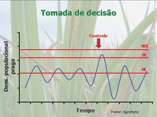 Fonte: Agrobyte.
 