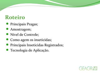 Roteiro
 Principais Pragas;
 Amostragem;
 Nível de Controle;
 Como agem os inseticidas;
 Principais Inseticidas Registrados;
 Tecnologia de Aplicação.
 