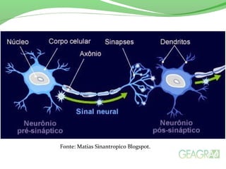Fonte: Matias Sinantropico Blogspot.
 