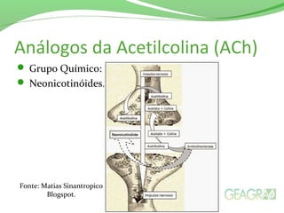 Análogos da Acetilcolina (ACh)
 Grupo Químico:
 Neonicotinóides.
Fonte: Matias Sinantropico
Blogspot.
 