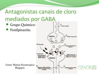 Antagonistas canais de cloro
mediados por GABA
 Grupo Químico:
 Fenilpirazóis.
Fonte: Matias Sinantropico
Blogspot.
 