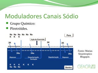Moduladores Canais Sódio
 Grupo Químico:
 Piretróides.
Fonte: Matias
Sinantropico
Blogspot.
 
