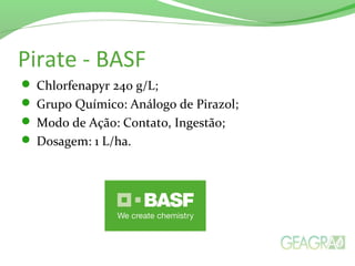 Pirate - BASF
 Chlorfenapyr 240 g/L;
 Grupo Químico: Análogo de Pirazol;
 Modo de Ação: Contato, Ingestão;
 Dosagem: 1 L/ha.
 