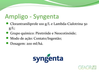 Ampligo - Syngenta
 Clorantraniliprole 100 g/L e Lambda-Cialotrina 50
g/L;
 Grupo químico: Piretróide e Neocotinóide;
 Modo de ação: Contato/Ingestão;
 Dosagem: 200 ml/há.
 