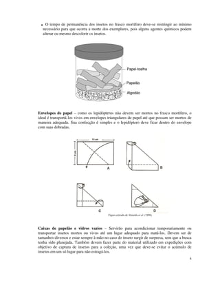 4
O tempo de permanência dos insetos no frasco mortífero deve-se restringir ao mínimo
necessário para que ocorra a morte dos exemplares, pois alguns agentes químicos podem
alterar ou mesmo descolorir os insetos.
Envelopes de papel – como os lepidópteros não devem ser mortos no frasco mortífero, o
ideal é transportá-los vivos em envelopes triangulares de papel até que possam ser mortos de
maneira adequada. Sua confecção é simples e o lepidóptero deve ficar dentro do envelope
com suas dobradas.
Figura retirada de Almeida et al. (1998).
Caixas de papelão e vidros vazios – Servirão para acondicionar temporariamente ou
transportar insetos mortos ou vivos até um lugar adequado para matá-los. Devem ser de
tamanhos diversos e estar sempre à mão no caso do inseto surgir de surpresa, sem que a busca
tenha sido planejada. Também devem fazer parte do material utilizado em expedições com
objetivo de captura de insetos para a coleção, uma vez que deve-se evitar o acúmulo de
insetos em um só lugar para não estragá-los.
Algodão
Papelão
Papel-toalha
Algodão
Papelão
Papel-toalha
 
